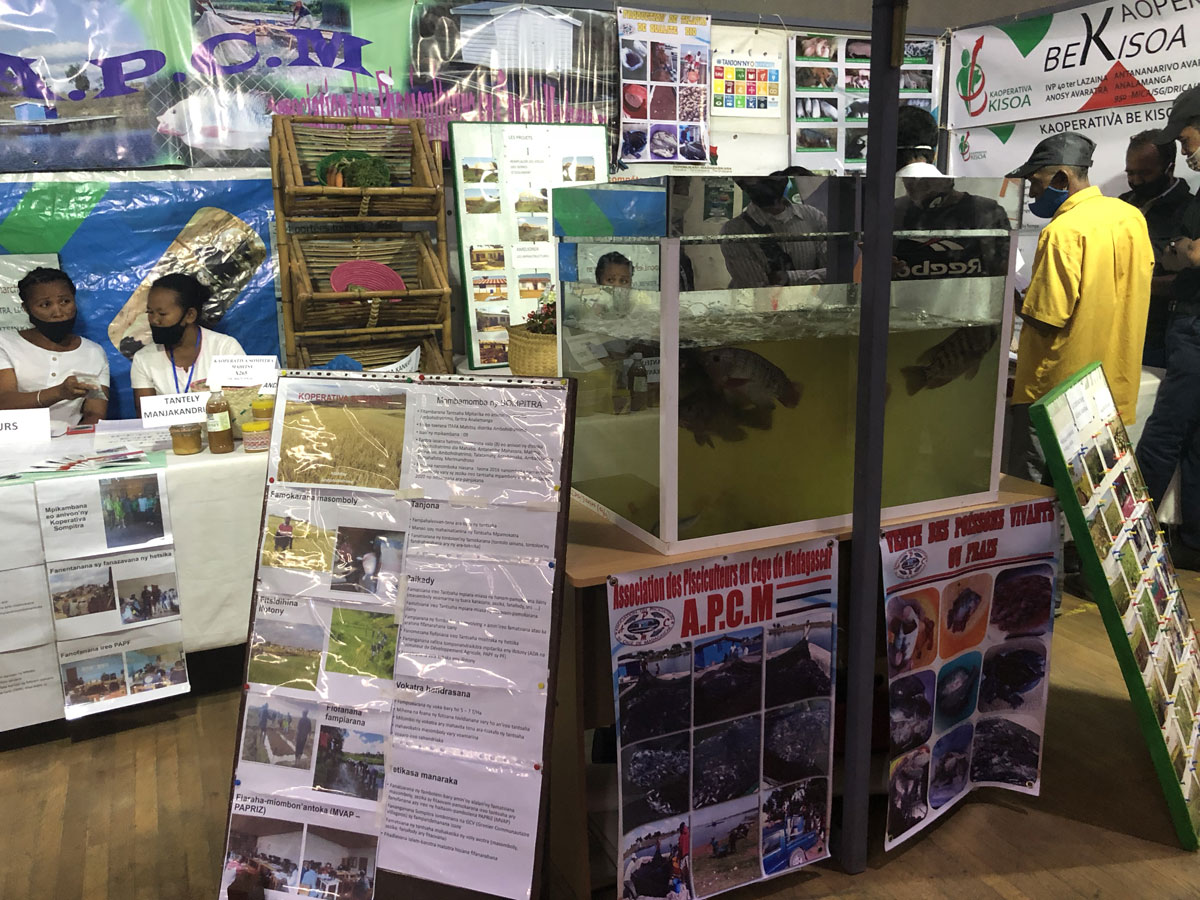 EXPO